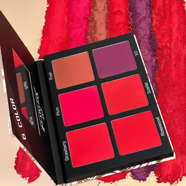 FLAWLESS - Blush Palette High Pigmentation Épuisé